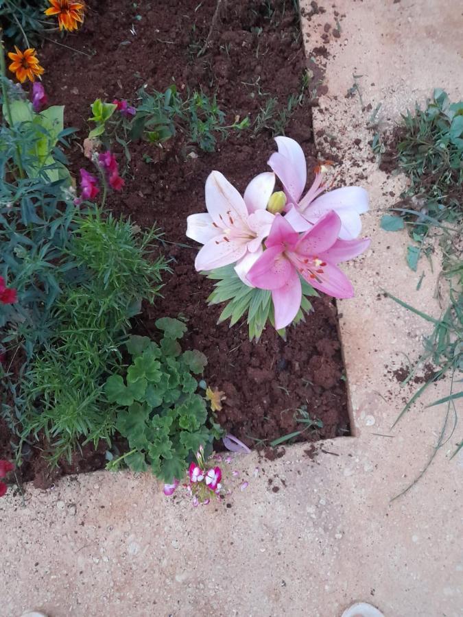Vlorë Rey Garden 2酒店 外观 照片