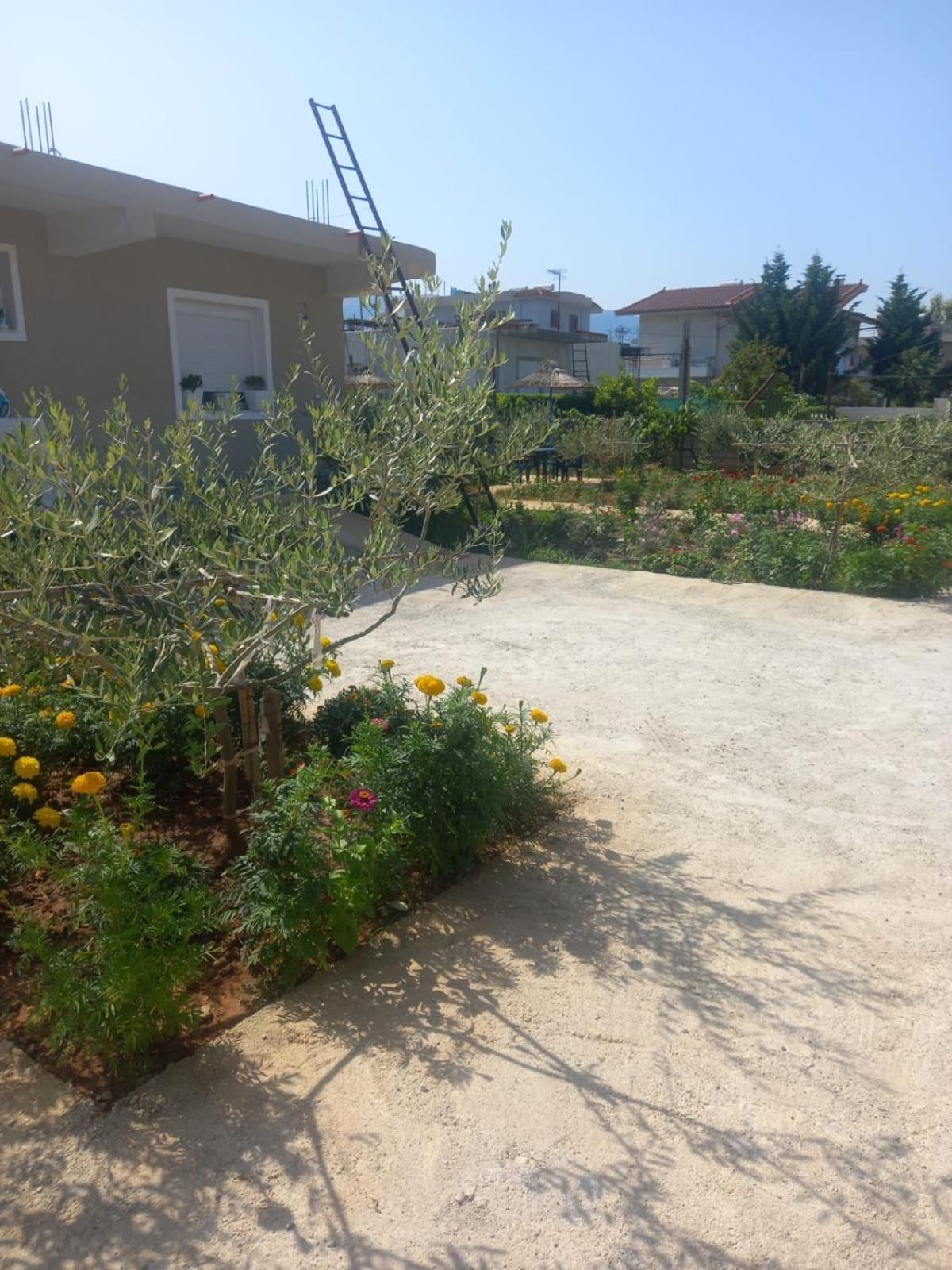Vlorë Rey Garden 2酒店 外观 照片