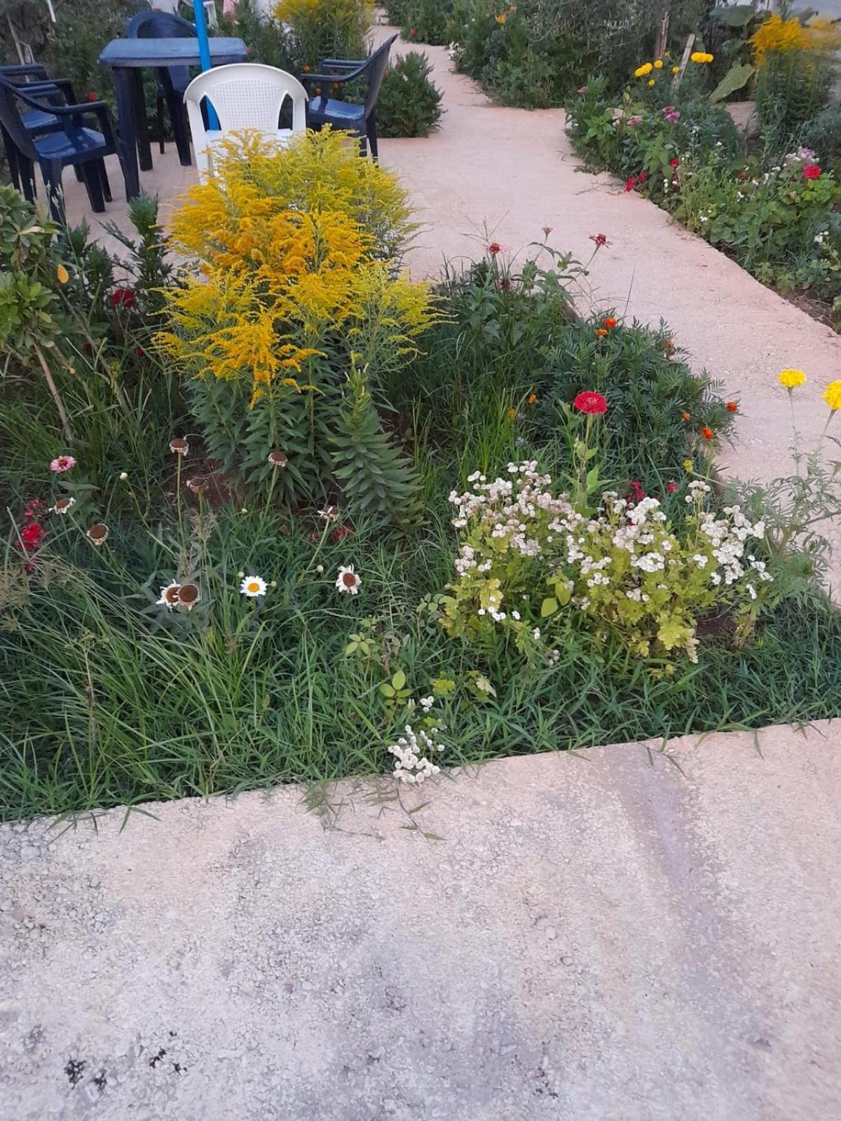 Vlorë Rey Garden 2酒店 外观 照片