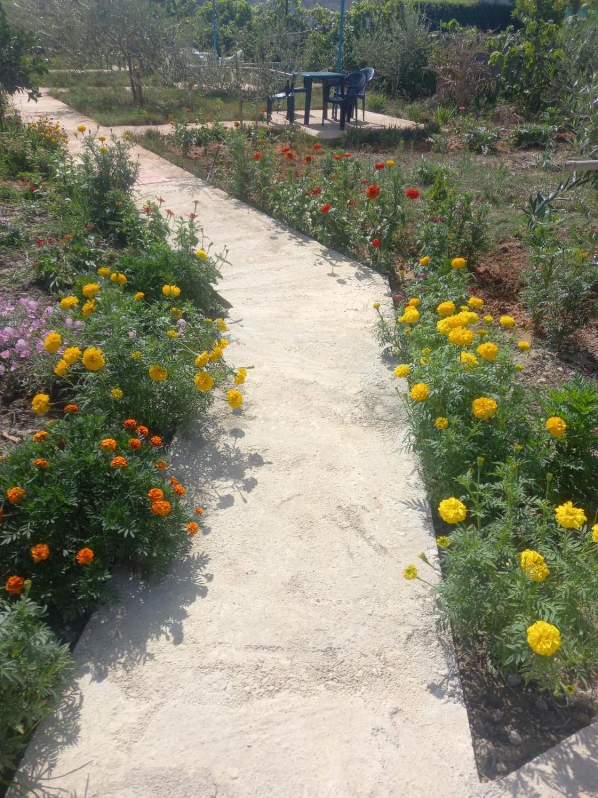 Vlorë Rey Garden 2酒店 外观 照片